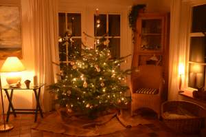 Wohnzimmer Weihnachtsbaum
